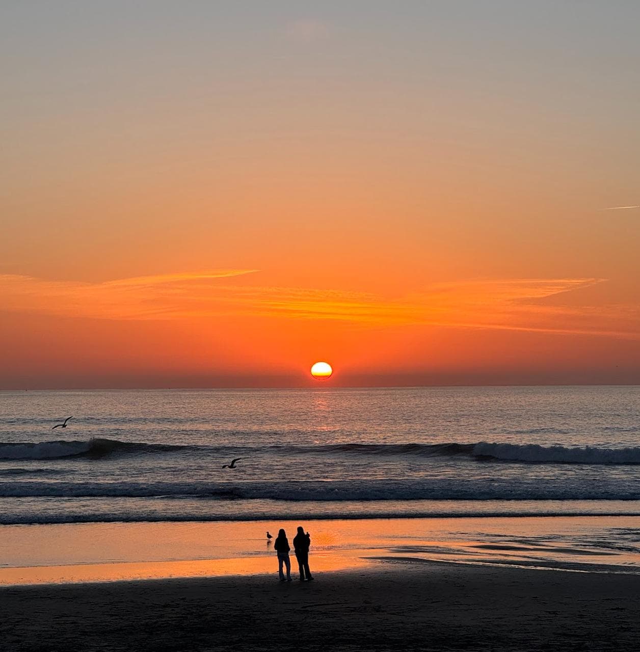 Praia na Apúlia com dunas douradas e mar calmo ao fim do dia.